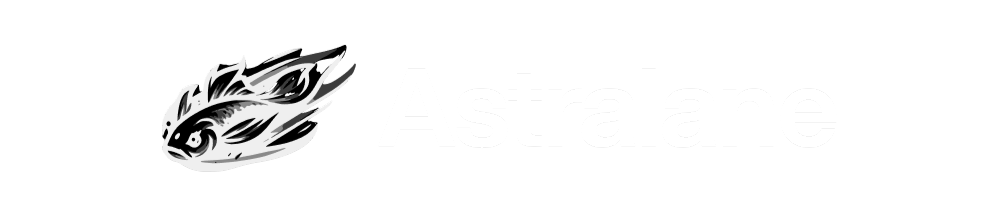 Partner 4